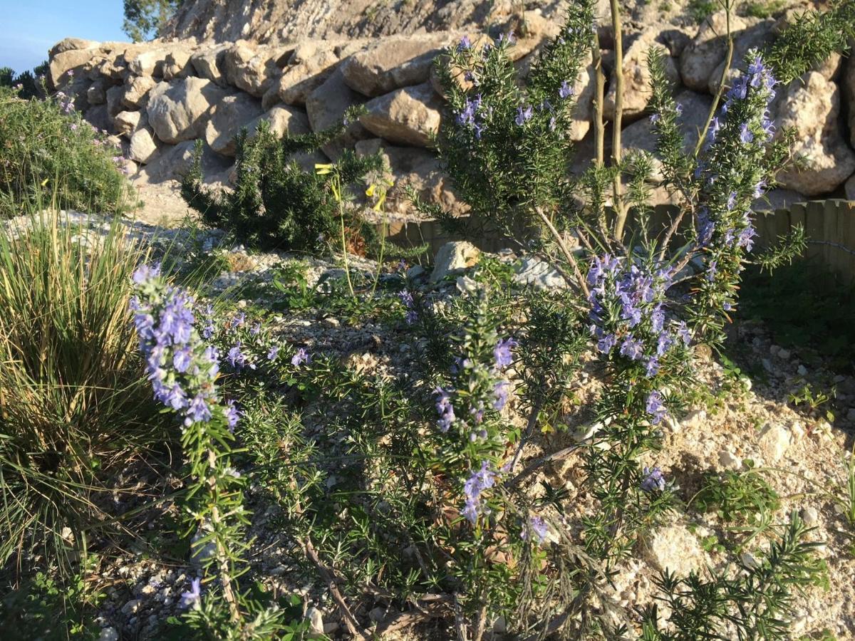 פרגליה Casa Natura 40 מראה חיצוני תמונה